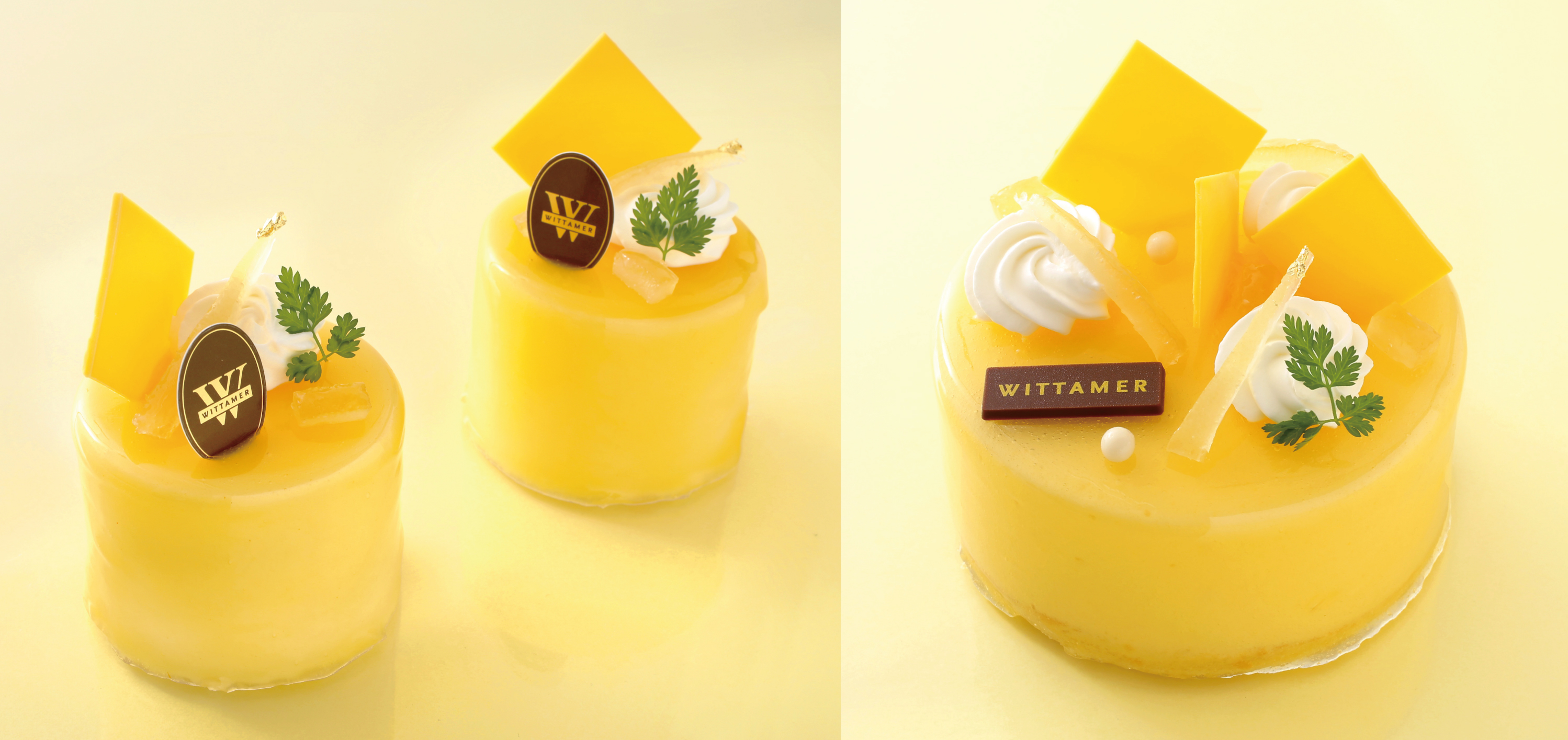 02_25W_W0528夏ケーキ-13